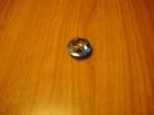3961548 Gm Radio Selector Knob