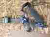 659.fd8n04 F350sd 2004 Headlamp Switch With Fog Lights Type 195520