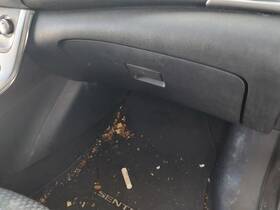 260.da1c13 Nissan Sentra 2013 Glove Box 1904131