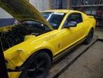 Seat Belt Front Bucket Passenger Buckle Fits 05-06 Mustang 603702. Fixed Price $46.67.