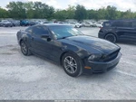 Rear View Mirror Automatic Dimming Without Microphone Fits 13-14 Mustang 1130213. Fixed Price $64.90.