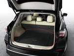 2015-2024 Nissan Murano Genuine Oem Rear Cargo Mat Tray Liner Black 999C3-C3000. Fixed Price $29.88.