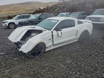 Black Overhead Console Oem 2013 Ford Mustang 1YR Wrnty DR3Z63519A70CA. Fixed Price $90.00.