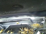 2006 Cadillac Dts 4 Door Sedan Left Driver Wiper Arm. Fixed Price $65.00.