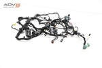 2023 Ford F-150 Dashboard Instrument Panel Wire Wiring Harness Oem. Fixed Price $299.99.