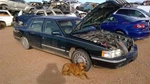 Deville 1998 Glove Box 326714. Fixed Price $75.00.