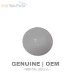 1992-1997 1999-2004 Vw Eurovan Dash Screw Bolt Cover / Cap 357857958A. Fixed Price $8.49.