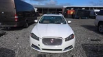 Front Door Jaguar Xf Left 09 10 11 12 13 14 15. Fixed Price $500.00.