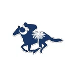 South Carolina Sc Racing Horse Shaped Flag Sticker Decal. Fixed Price $34.99.