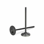 Supertech VWIVN-1002S-8 Black Nitrided Intake Valve Set Of For Lamborghini New. Fixed Price $212.31.