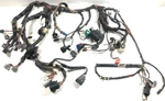 2005 07 Ford F250 F350 6.0 Diesel Dash Wiring Harness. Fixed Price $249.00.