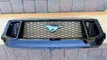 Ford Mustang (S650) Gt Radiator (front/upper) Grille. Fixed Price $200.00.