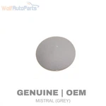 1990-1993 Vw Passat Dash Screw Bolt Cover / Cap 357857958A. Fixed Price $8.49.