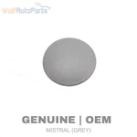 1990-1993 Vw Passat Dash Screw Bolt Cover / Cap 357857958A. Fixed Price $8.49.