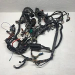 2006 Ford F250 F350 6.0L Diesel Dash Wiring Harness 5C3T-14401-P260Z Nz. Fixed Price $229.99.