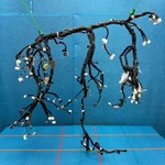 2015 2019 Lexus RC350 Dash Instrument Panel Wire Harness Wiring Assembly Oem 821. Fixed Price $179.00.