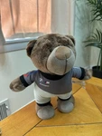 Original Bmw Motorsport Teddy Bava Bear Plush Toy Cuddly Brown. Fixed Price $37.19.