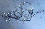 2014 Honda Accord Sedan 2.4L Front Instrument Panel Dash Wire Wiring Harness Oem. Fixed Price $194.65.