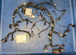 2005 Ford Mustang Gt 4.6 4.0 A/t Coupe Wire Harness Dashboard 4R3T-14401-CN. Fixed Price $169.99.