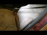 Seat Belt Front Driver Retractor Fits 98-02 Express 1500 Van 388593. Fixed Price $112.95.