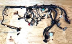 2005-2007 Ford F250 F350 5.4L Gas Body/ Dashboard Wiring Harness 5C3T-14401-DZ. Fixed Price $249.99.