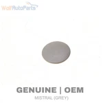 1990-1993 Vw Passat Dash Screw Bolt Cover / Cap 357857958A. Fixed Price $8.49.